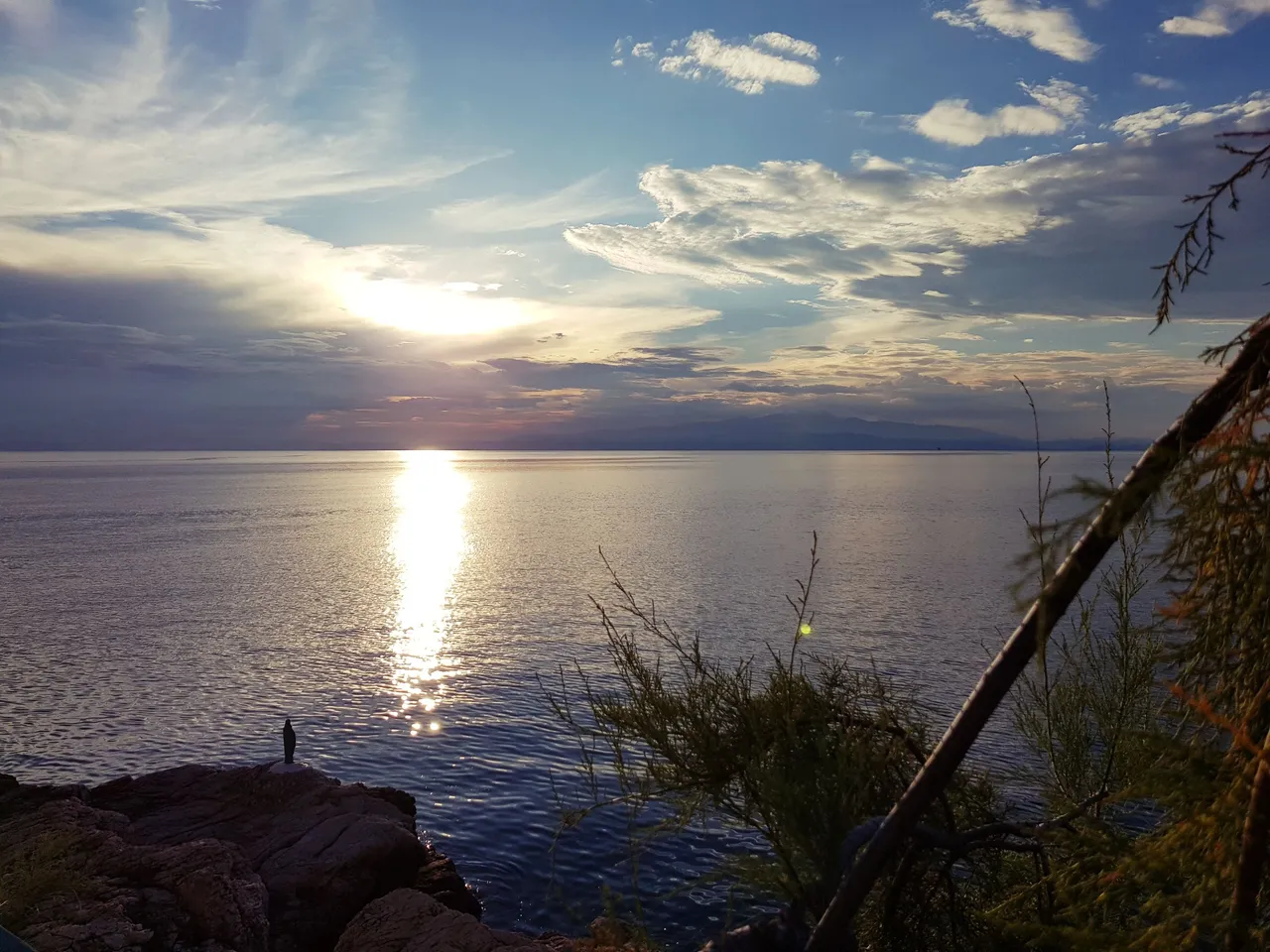20180726_195418.jpg