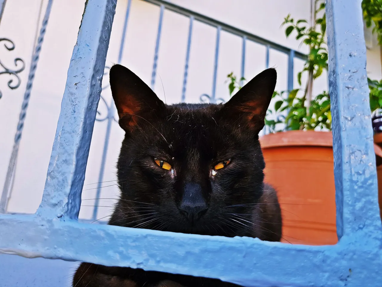 20180726_200600.jpg