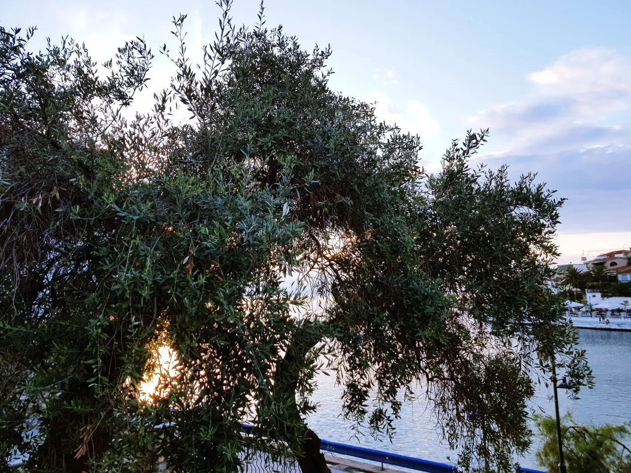 20180726_200528.jpg