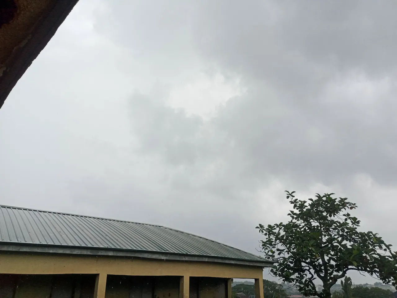 IMG_20250703_131445_178.jpg