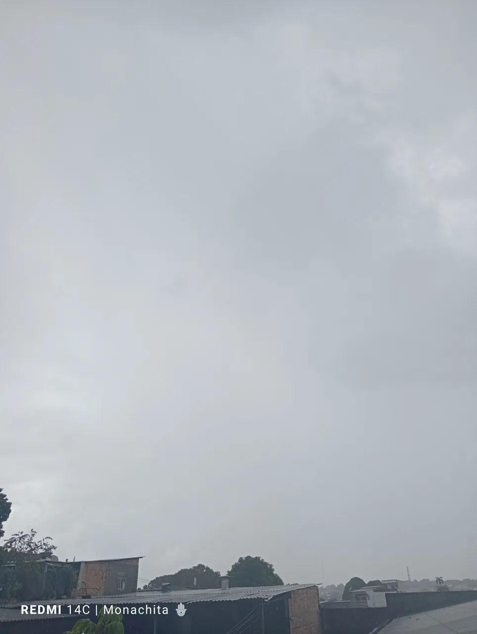 1000069068.jpg