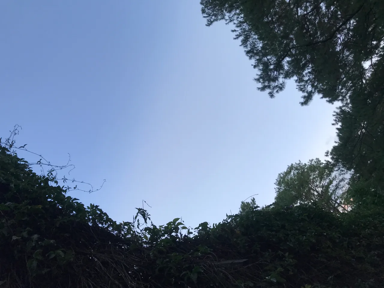 C388D200-255E-4334-A990-F7402F964792.jpeg