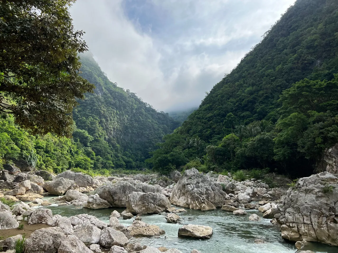 Stream, trees, and clouds