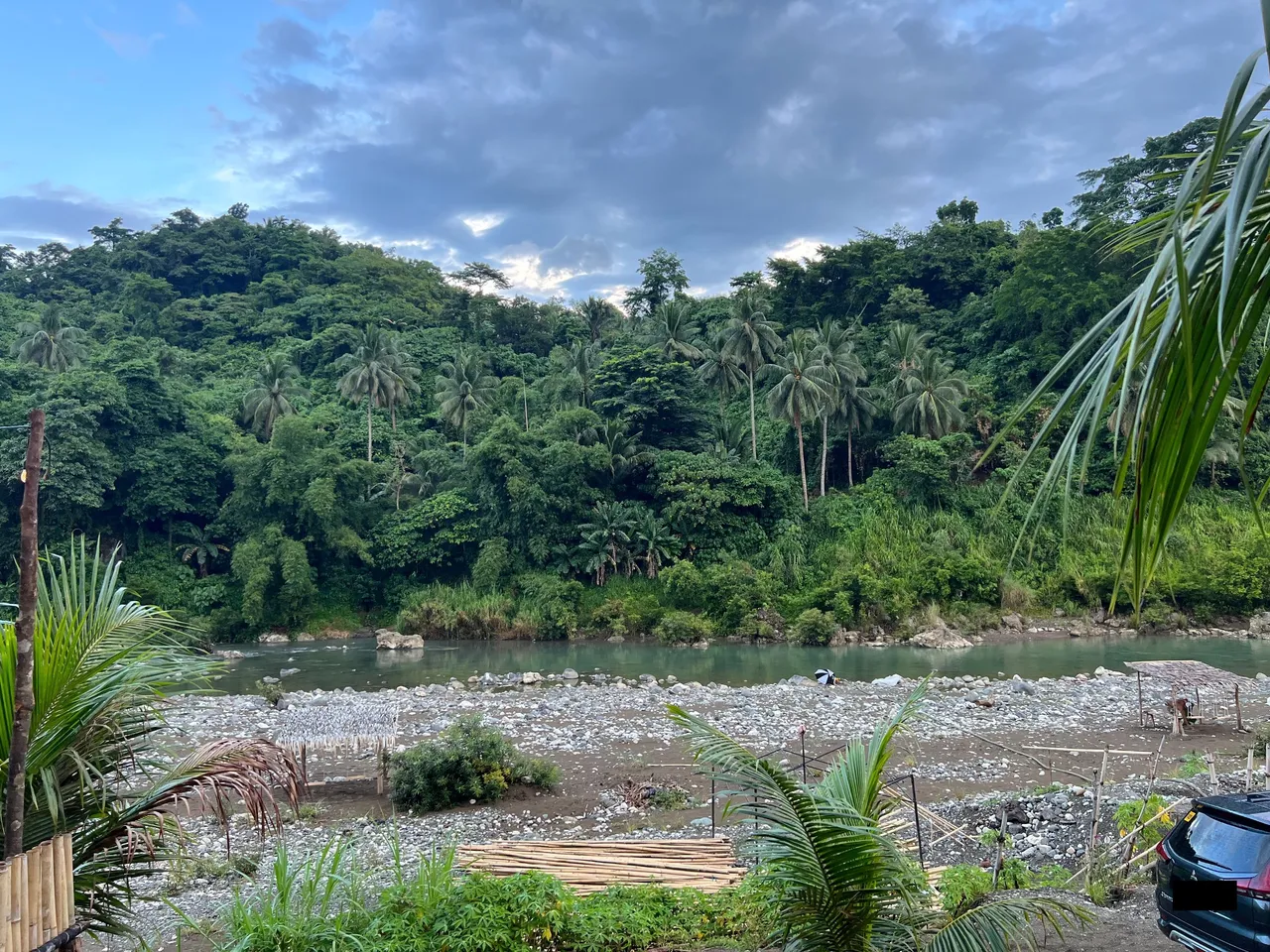 View of the place -- not the best one, but it's still nature!