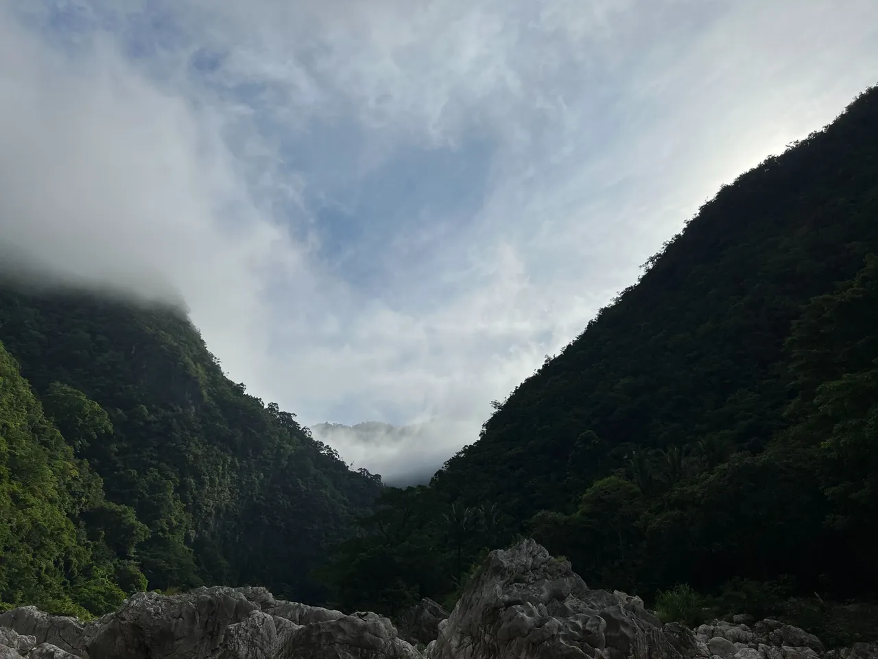 Fog starting to clear up