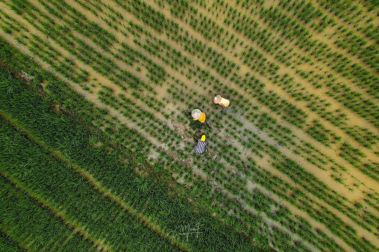 DJI_0219.JPG