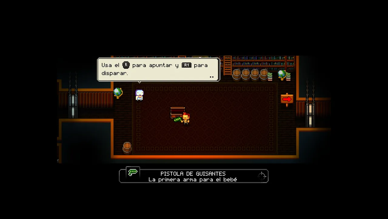 Enter the Gungeon 2_10_2022 10_36_07 a. m..png