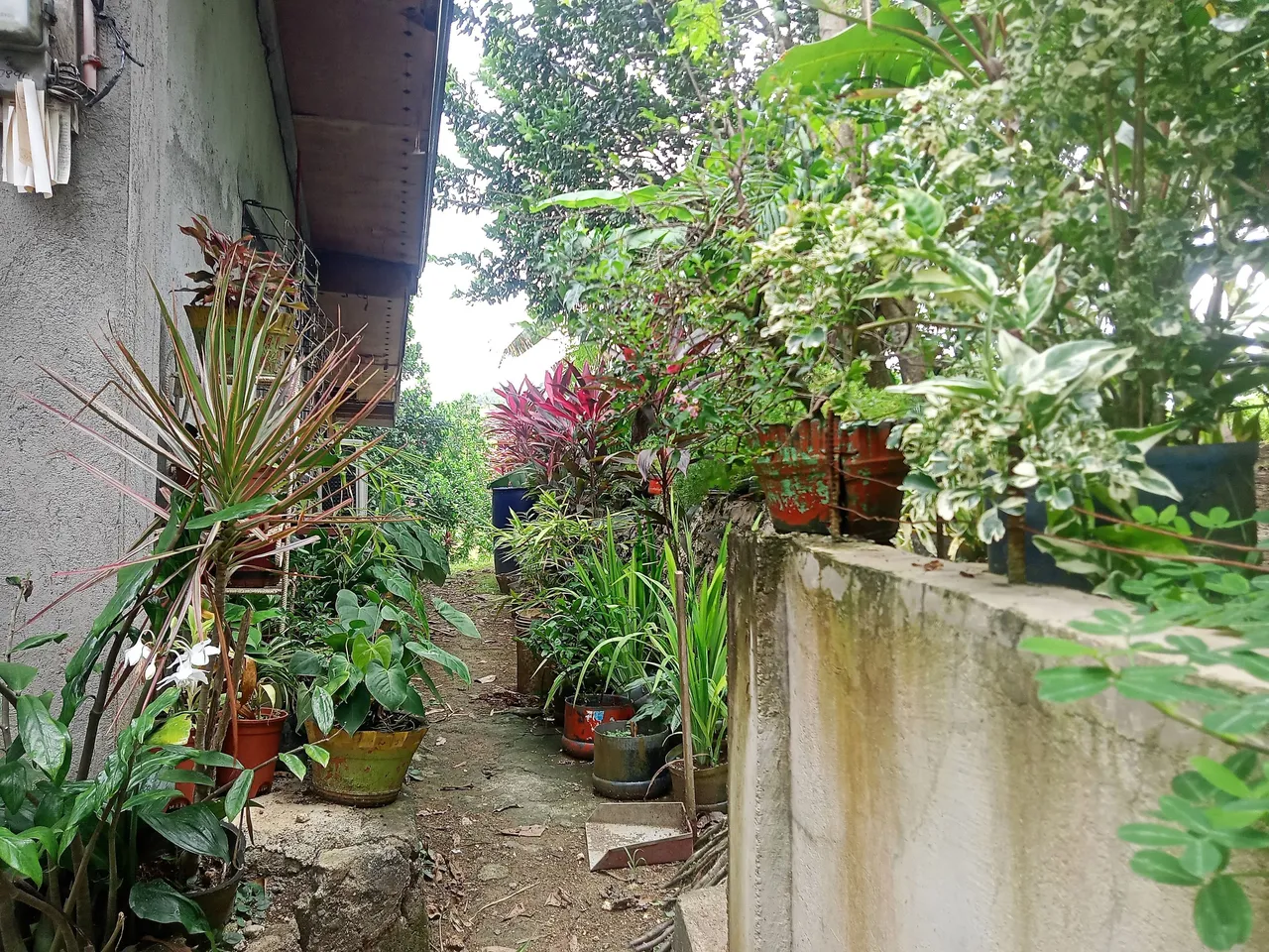 IMG20221208122540_00.jpg