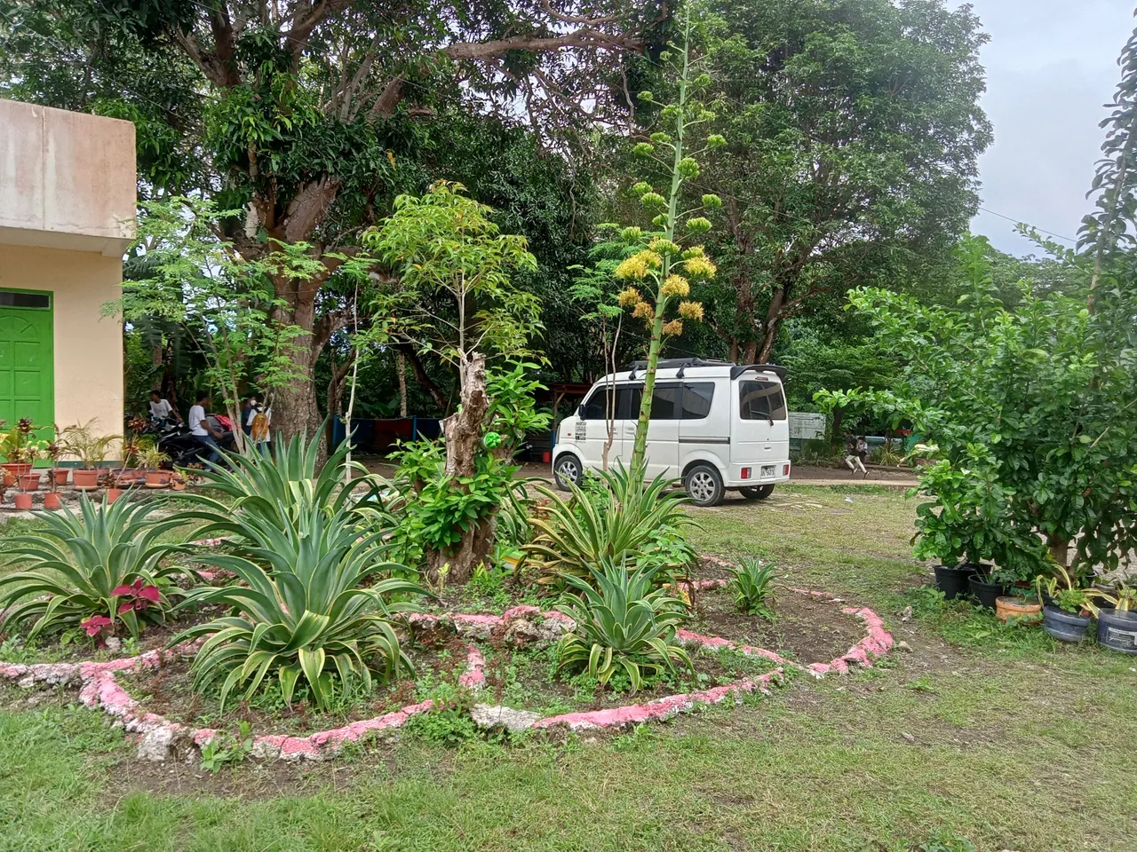 IMG20221111103628_00.jpg