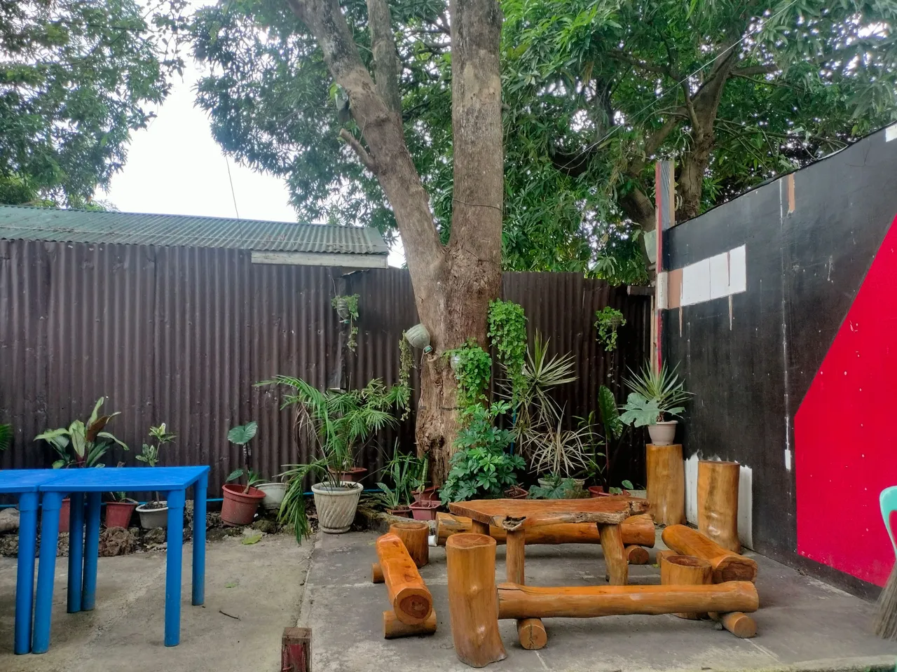 IMG20230203155144.jpg