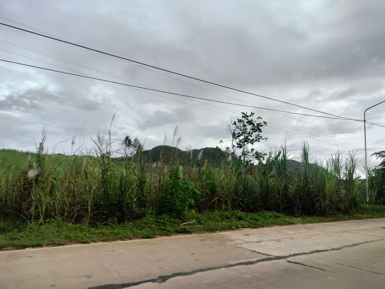 IMG20230203165104.jpg