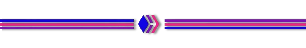Separainator_bobi-removebg-preview.png