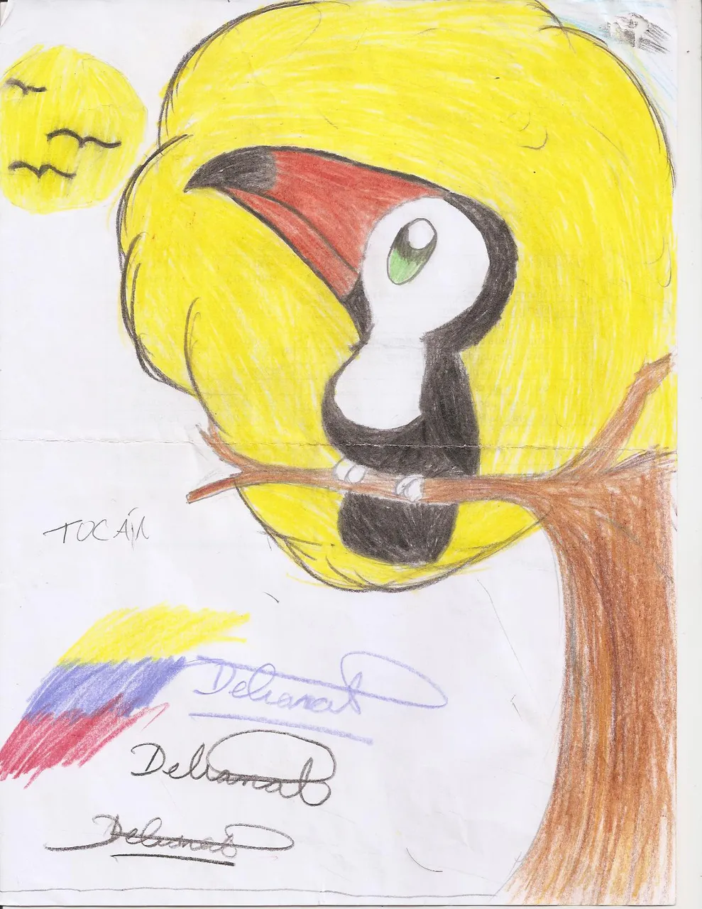 Tucan.png