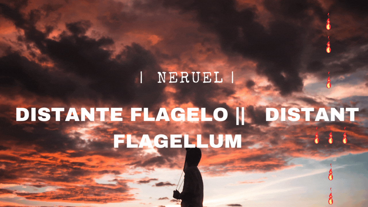 Distante Flagelo Distant Flagellum .gif