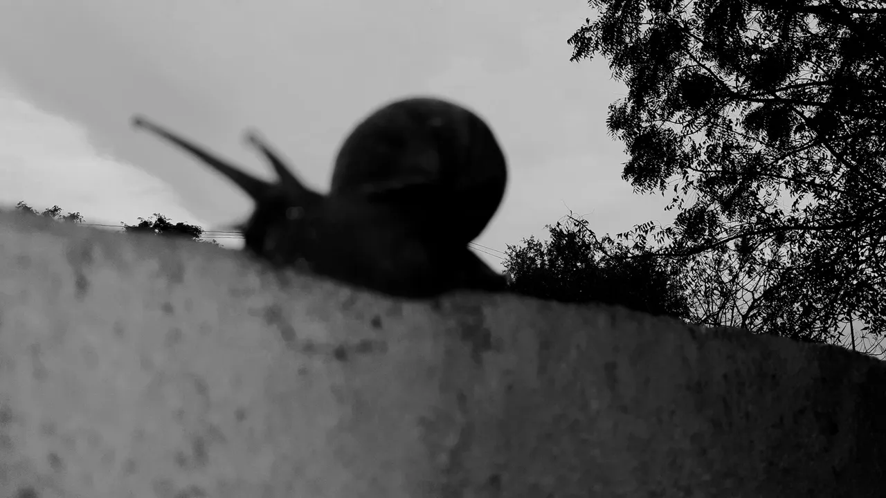 20221102_214951.jpg