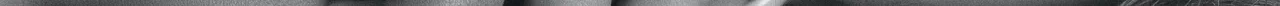 alexander-krivitskiy--nOzuCuog8g-unsplash.jpg