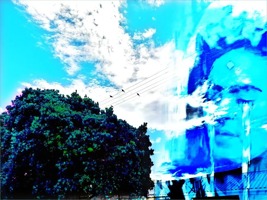 frieda.jpg
