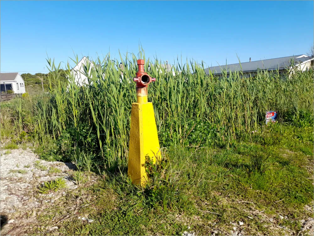 20231011_080828.jpg