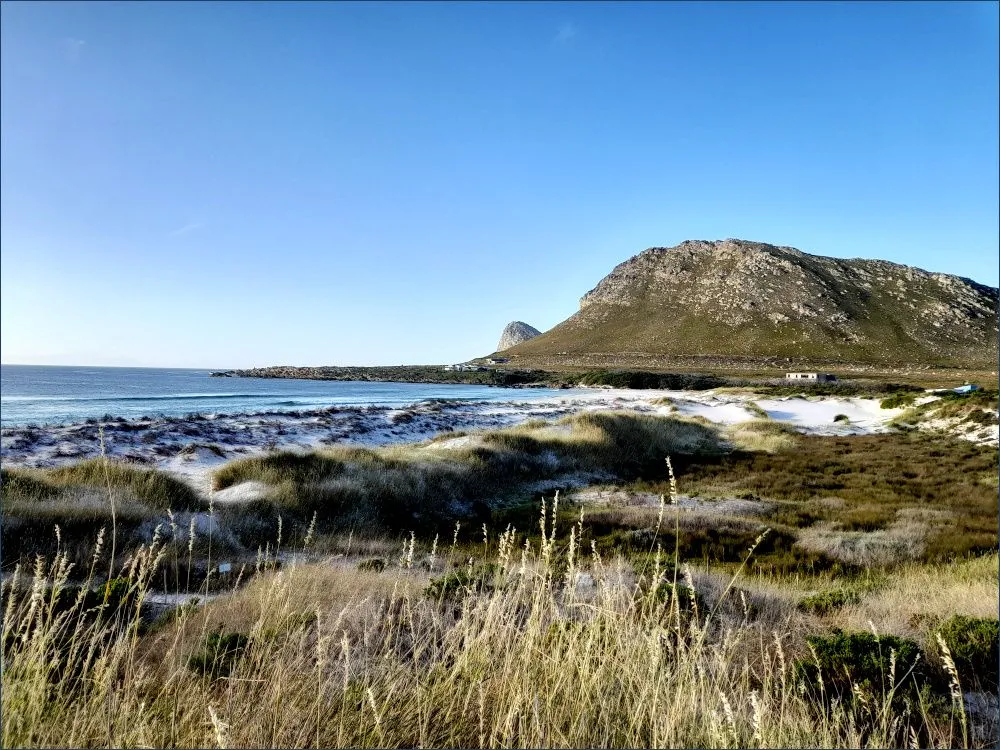 pringle-bay.jpg