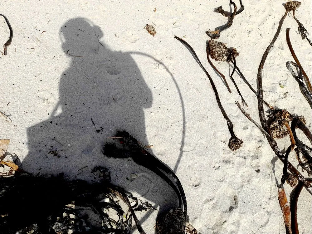 hoop-shadow.jpg
