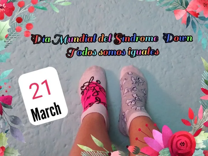 CollageMaker_202232110557204.jpg