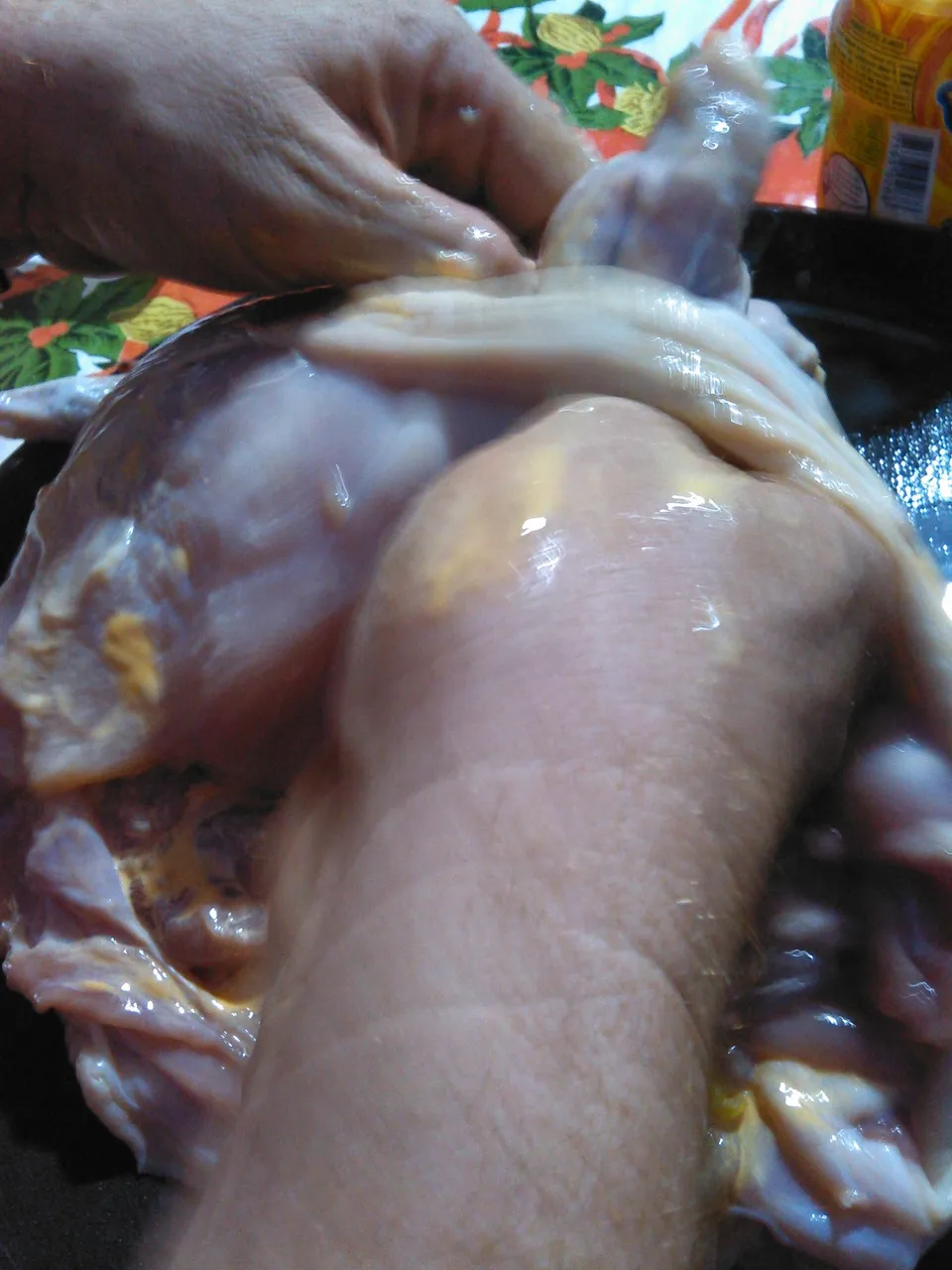 WP_20211021_021.jpg