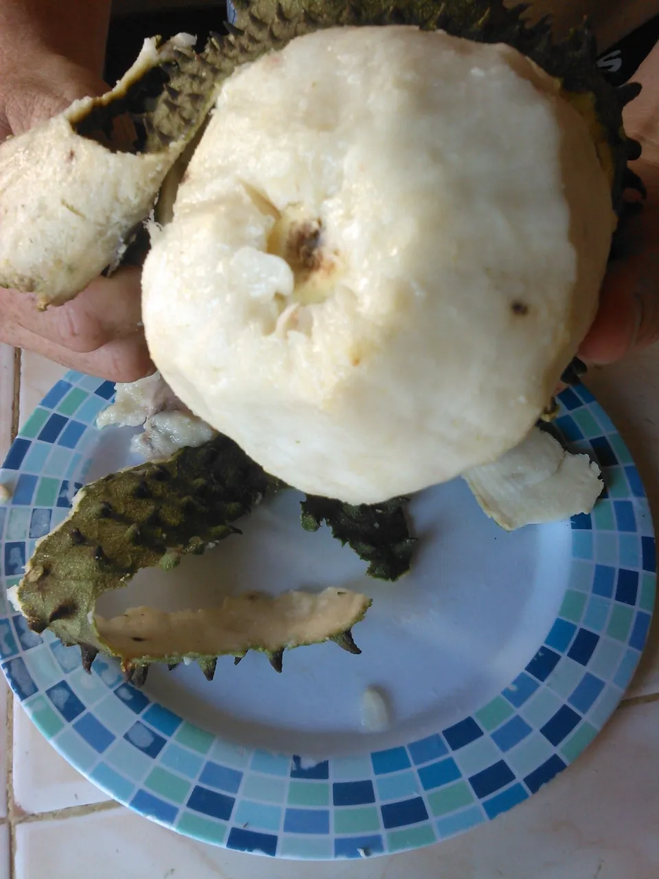 WP_20211023_030.jpg