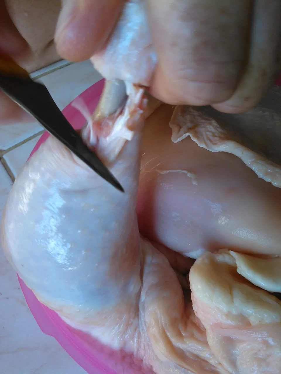 WP_20211019_007.jpg