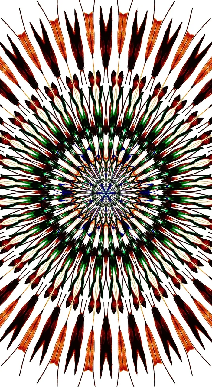 PicsArt_10-10-12.34.19.jpg