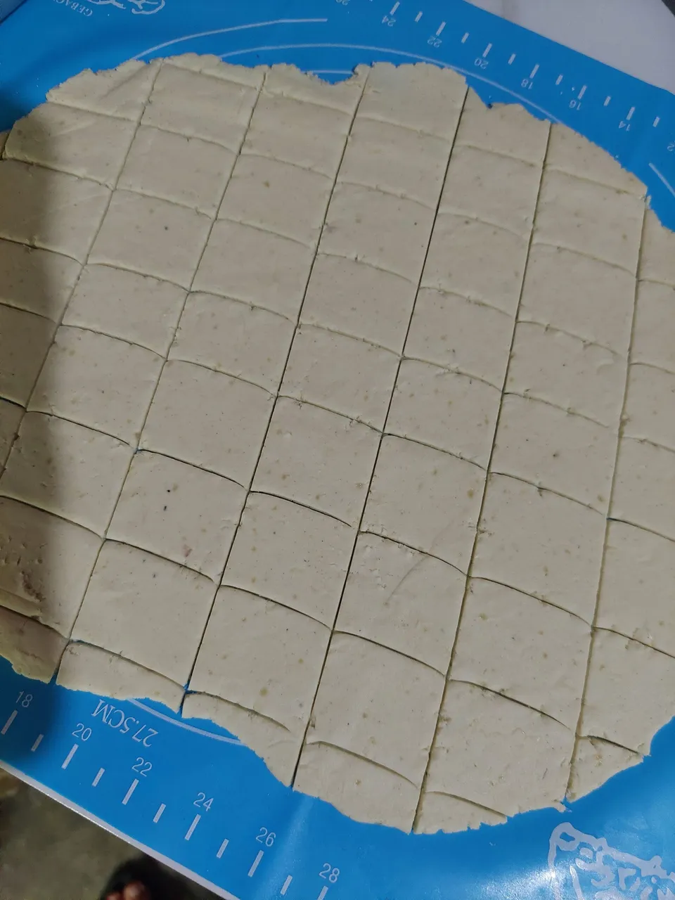 20250427_090352.jpg