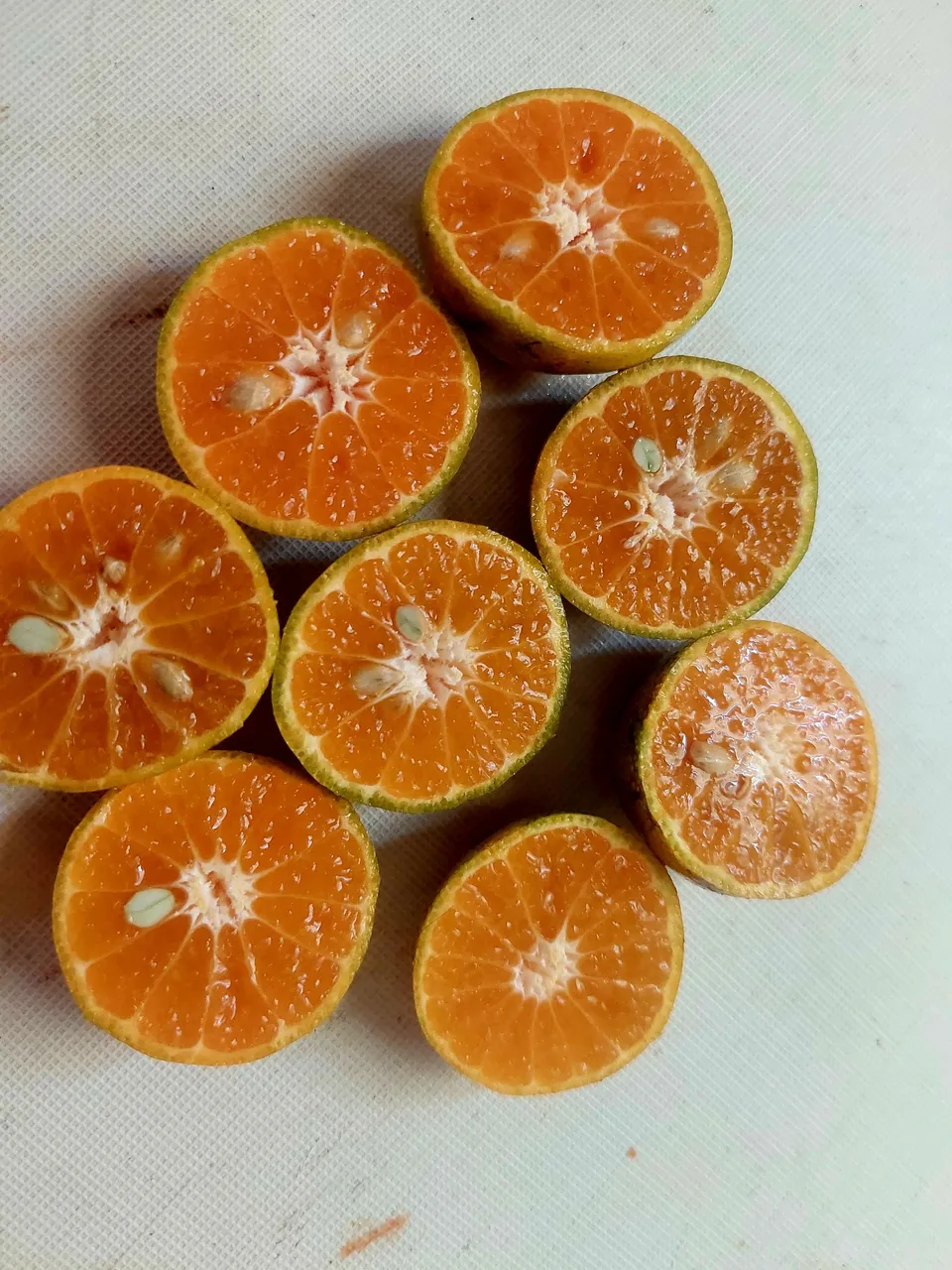 20230705_071606.jpg