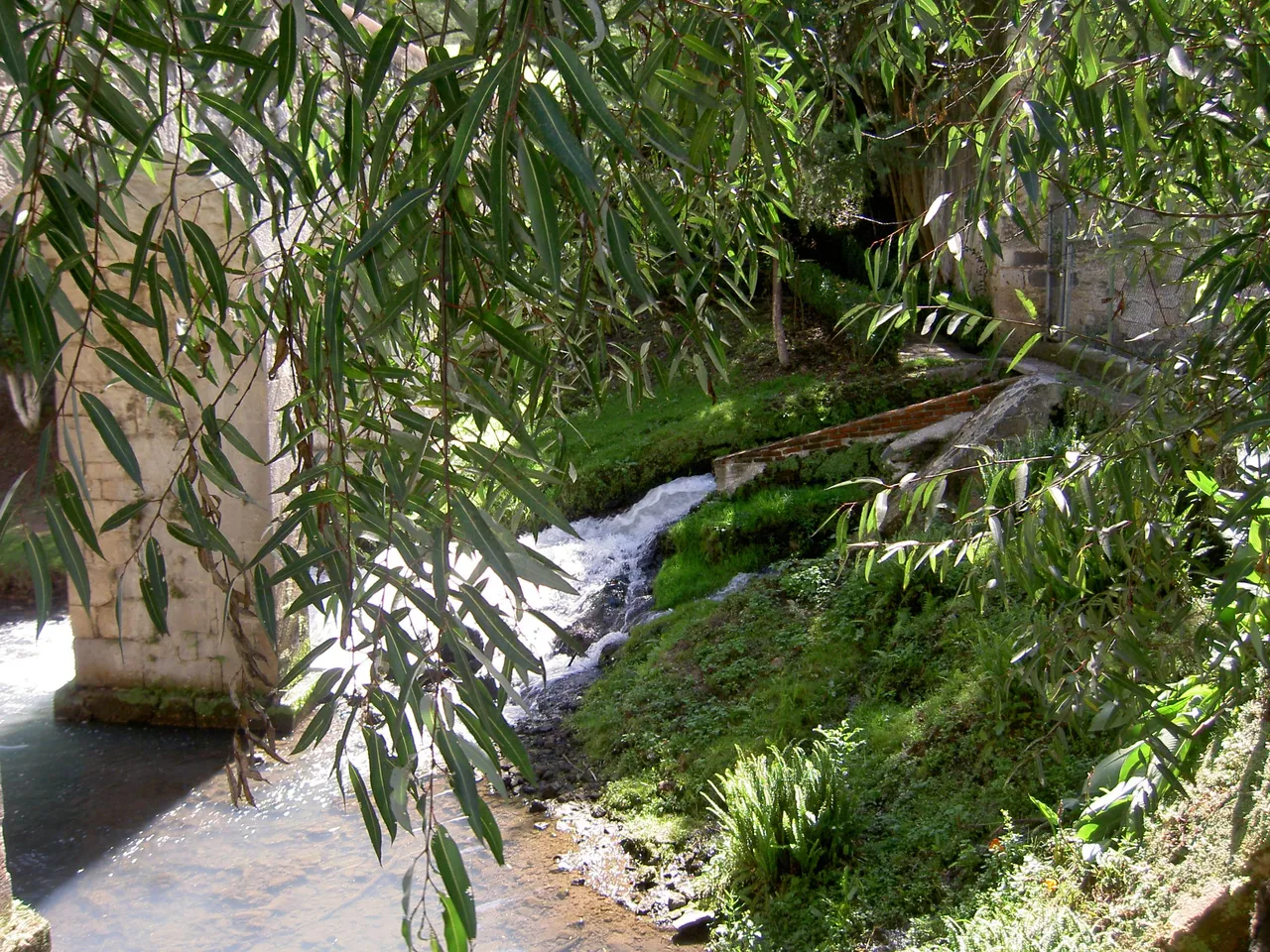 PICT6335.JPG