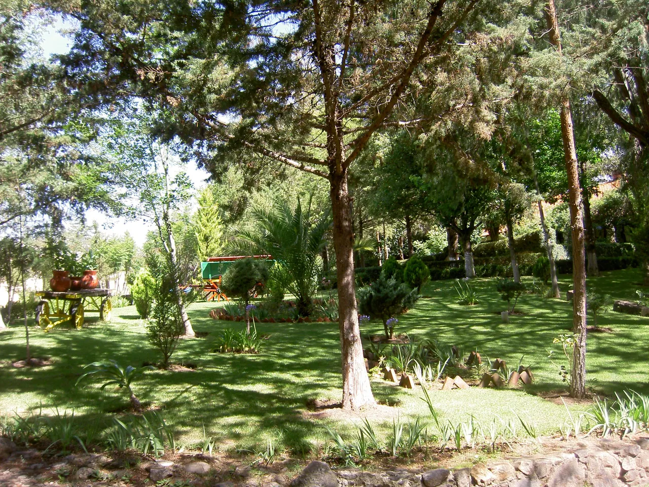 PICT6325.JPG