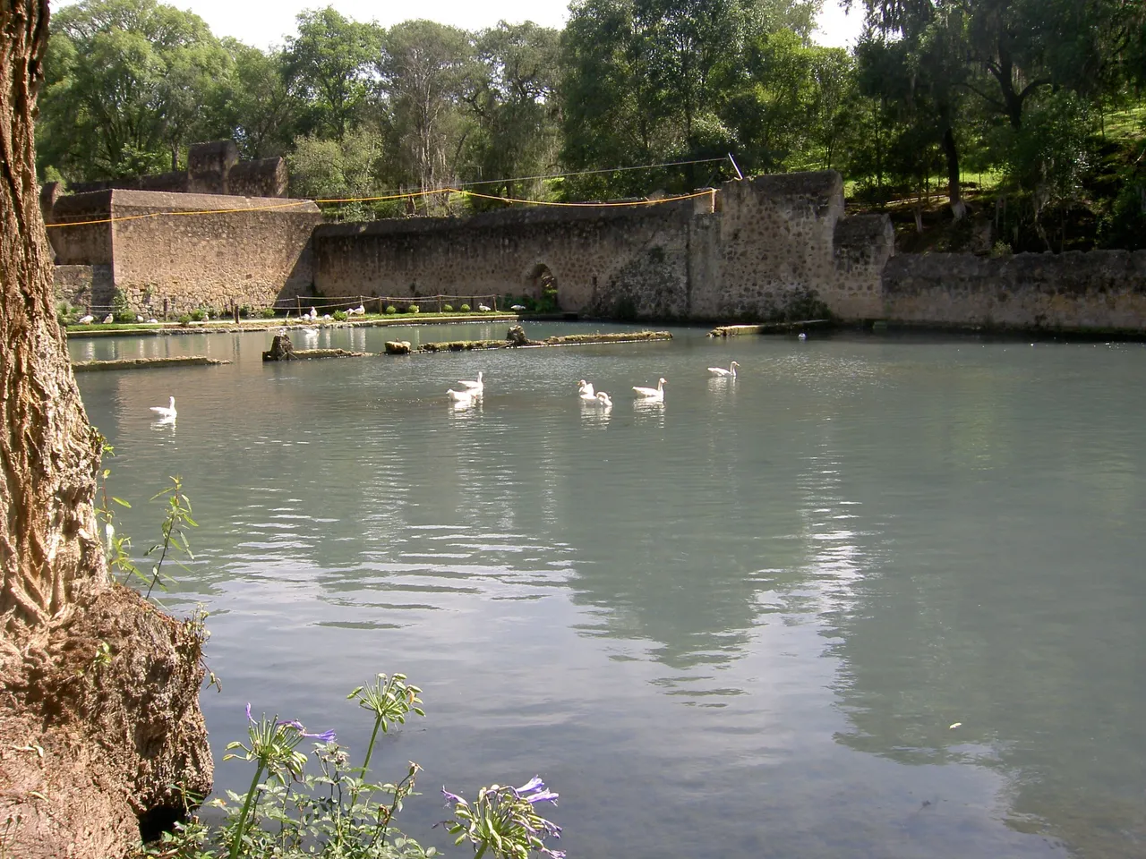 PICT6355.JPG