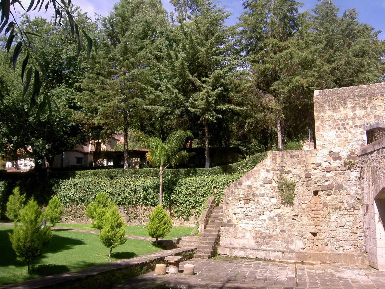 PICT6339.JPG