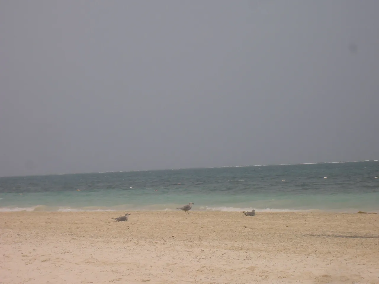 PICT5780.JPG