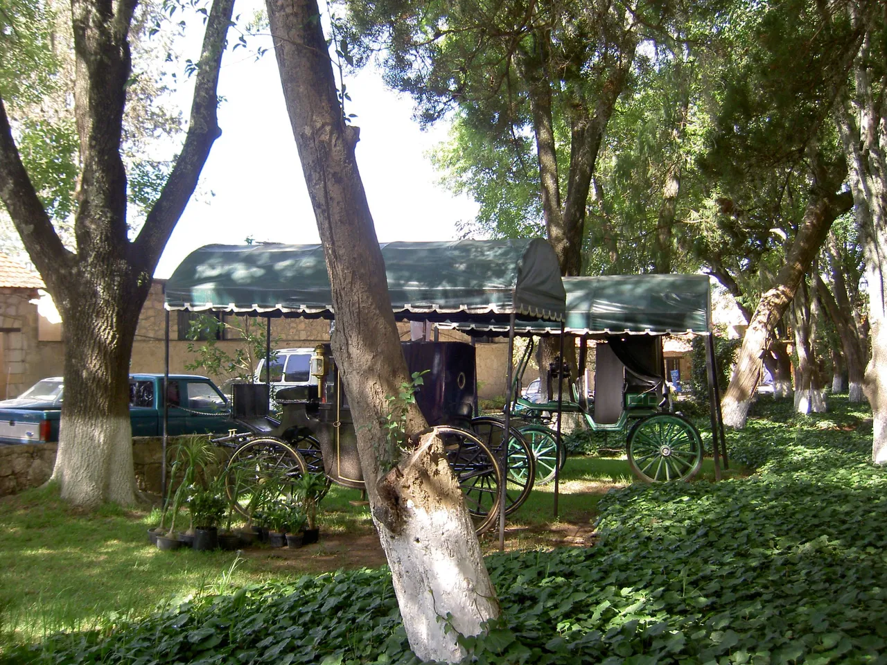PICT6304.JPG
