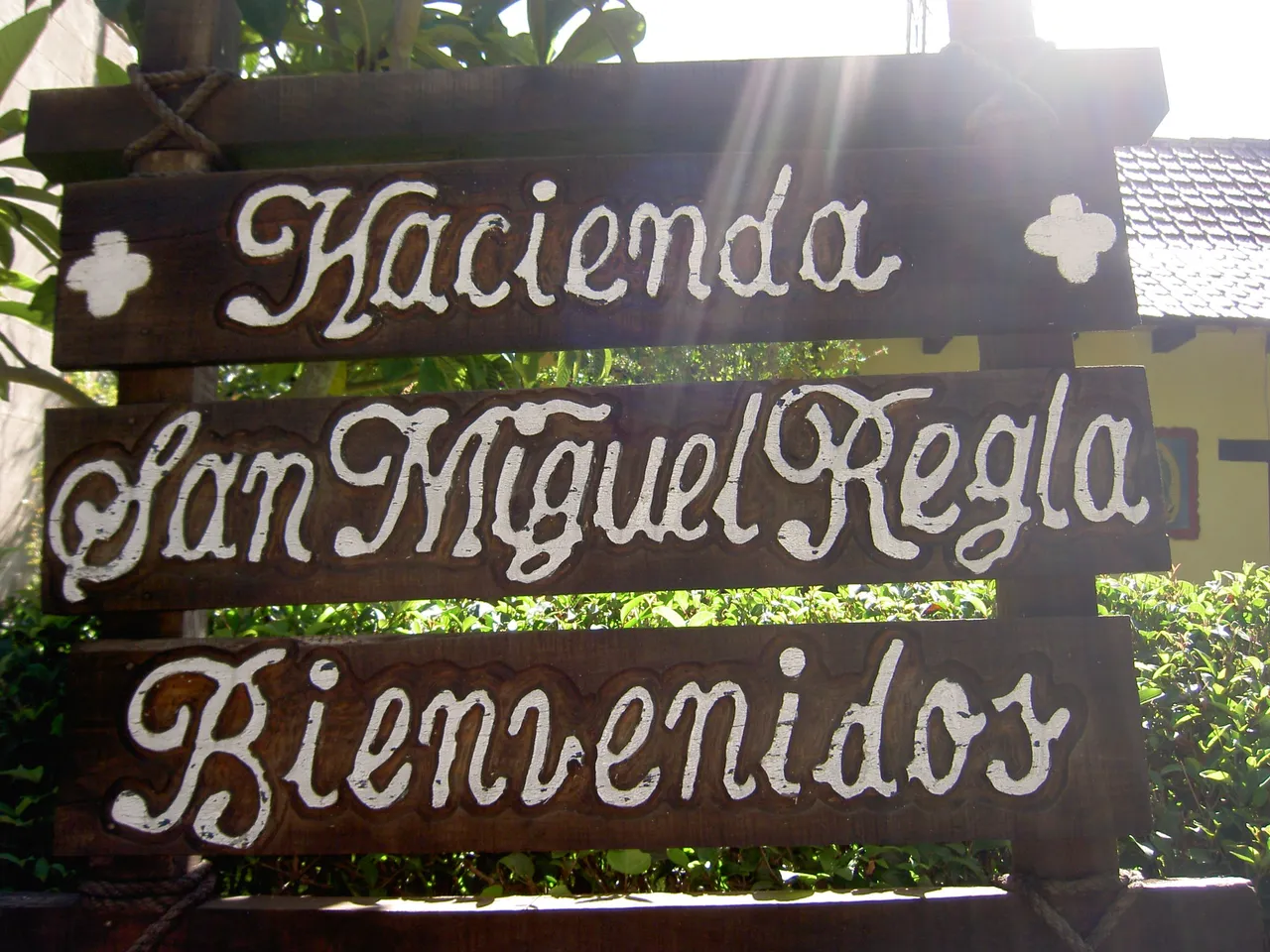 PICT6308.JPG