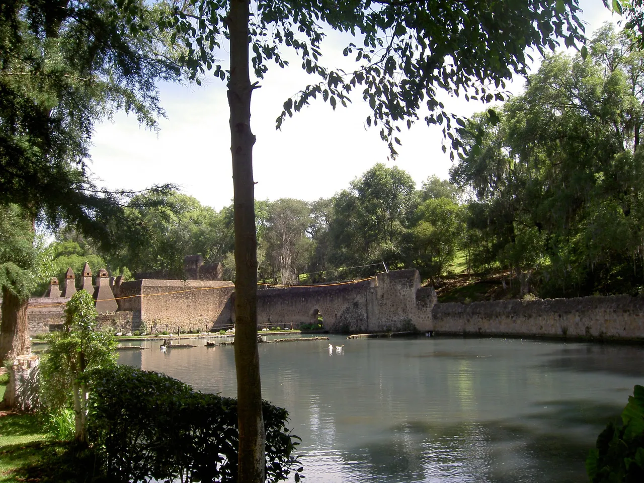 PICT6348.JPG