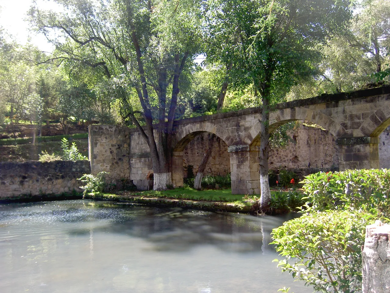 PICT6351.JPG