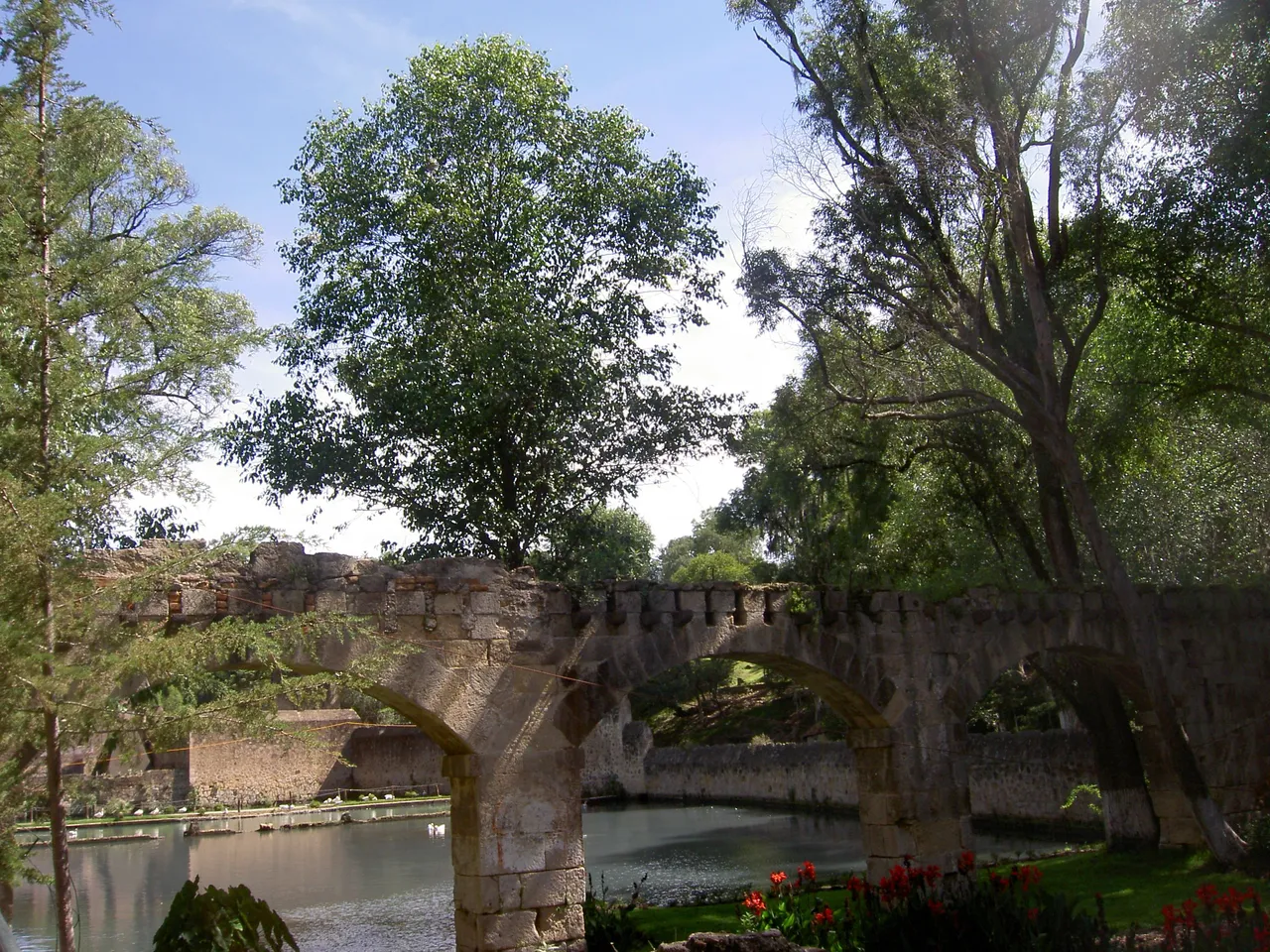 PICT6347.JPG