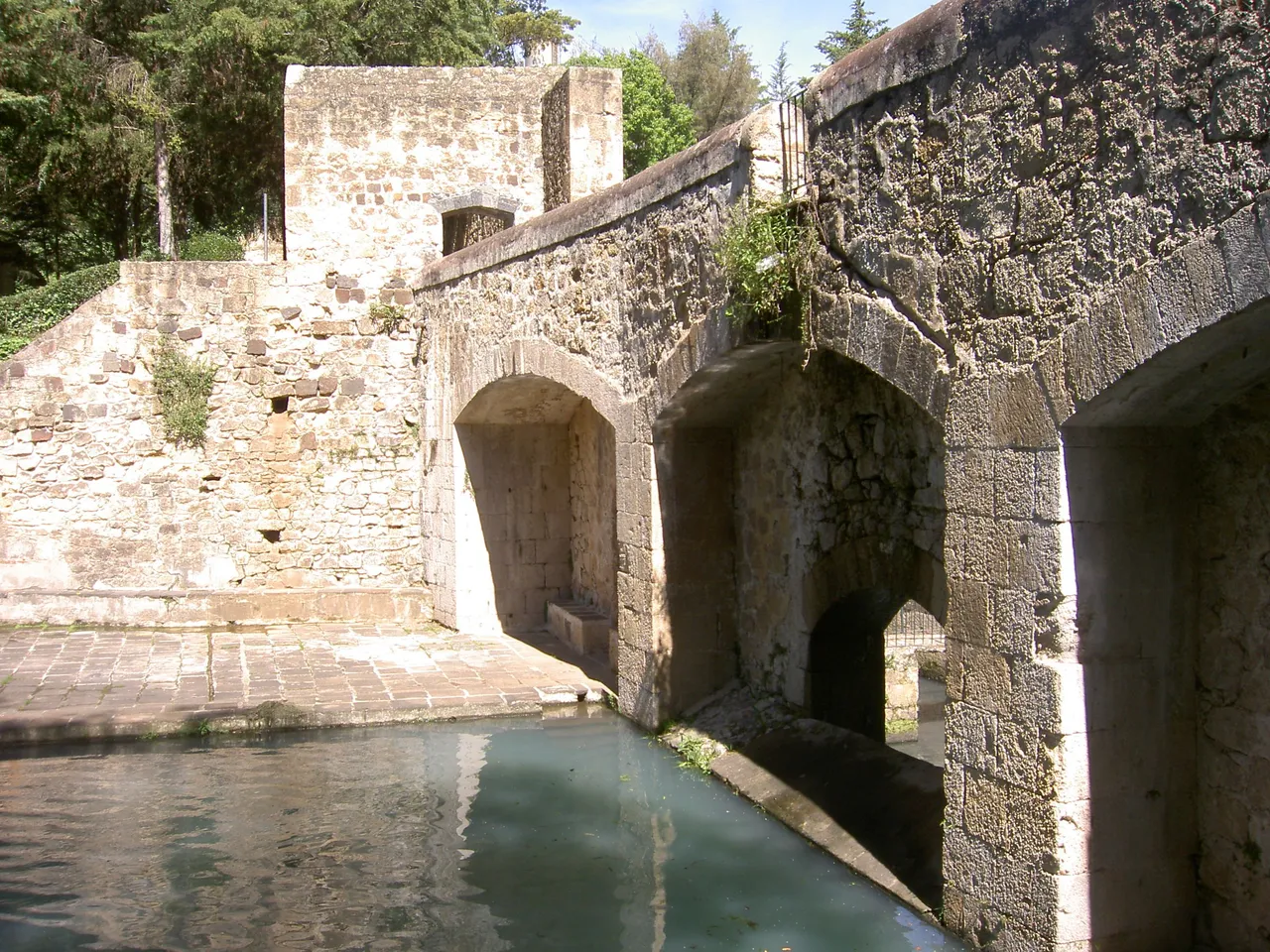 PICT6338.JPG