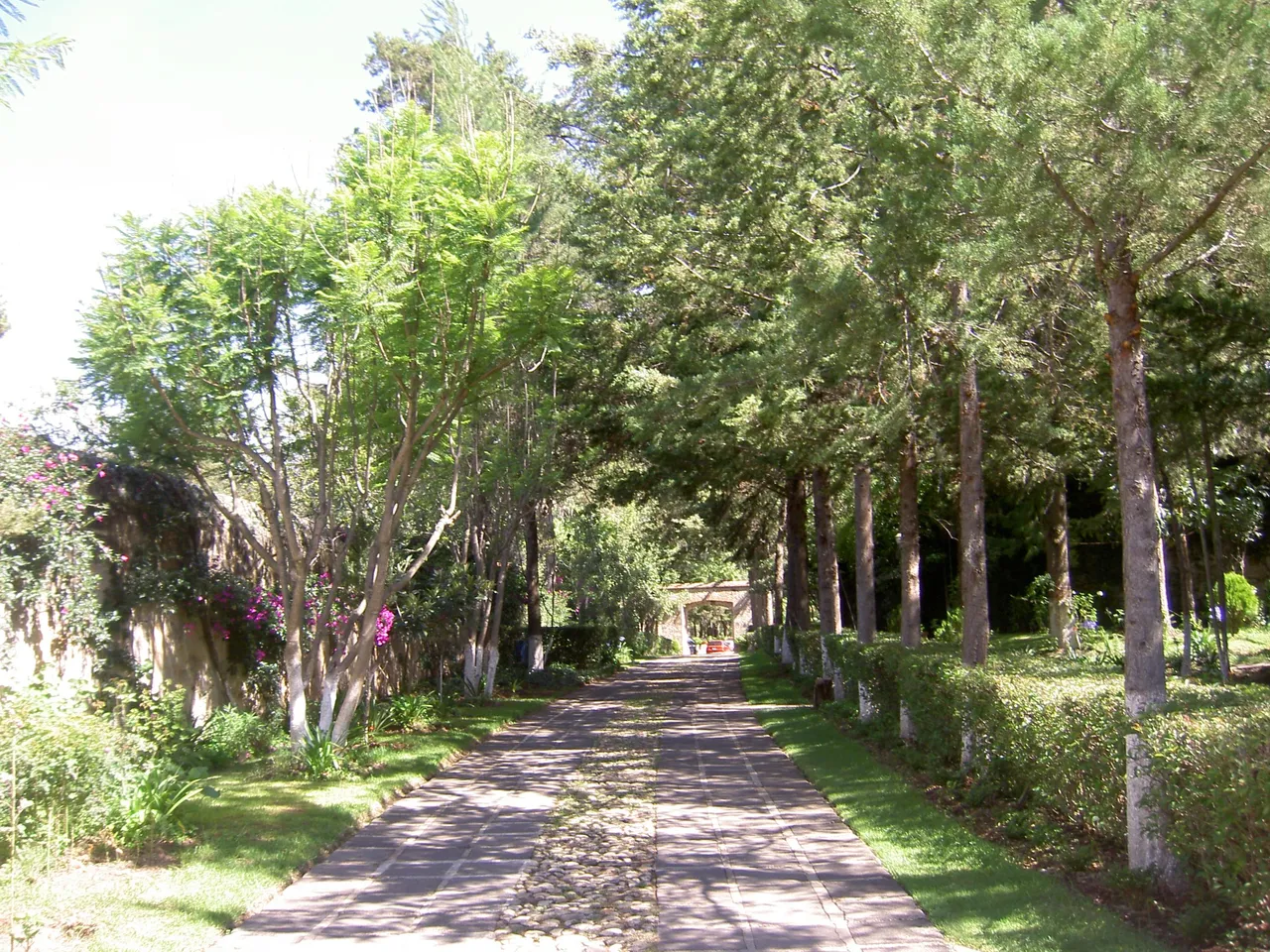 PICT6323.JPG