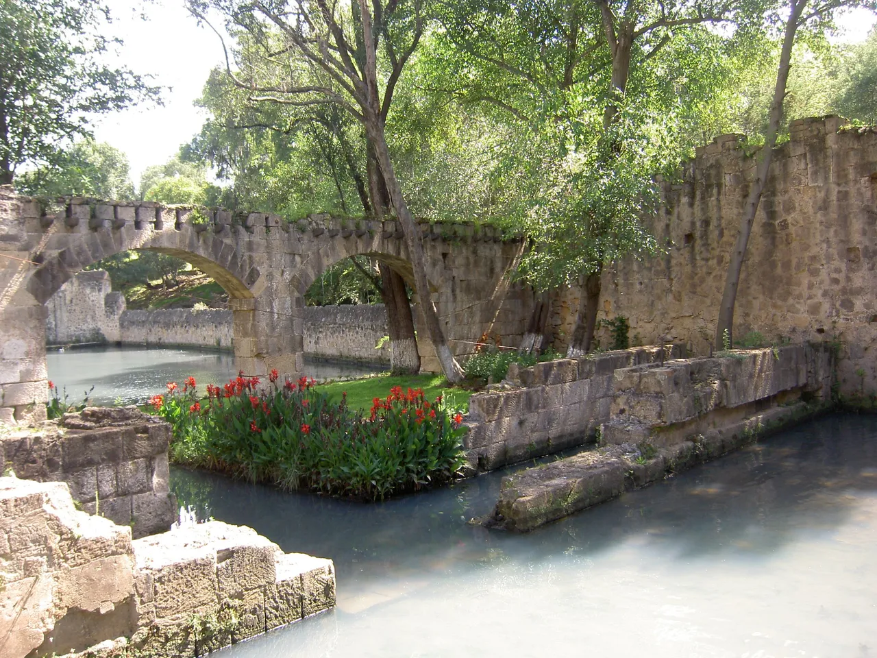 PICT6345.JPG