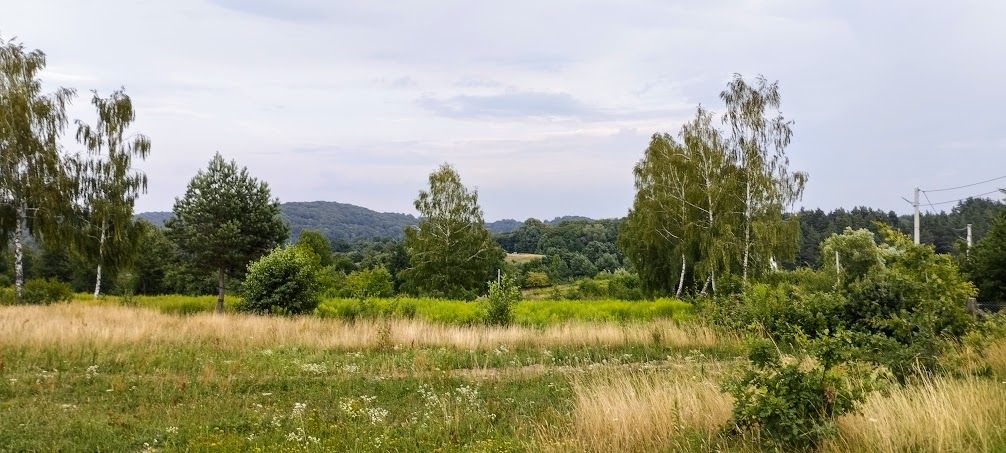 IMG_20220726_195338.jpg
