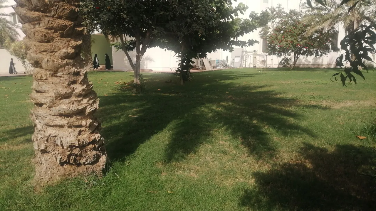 IMG_20220307_151957.jpg