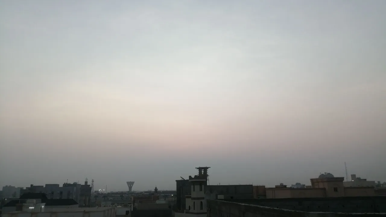 IMG_20220314_062417.jpg