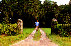 giphy (4).gif