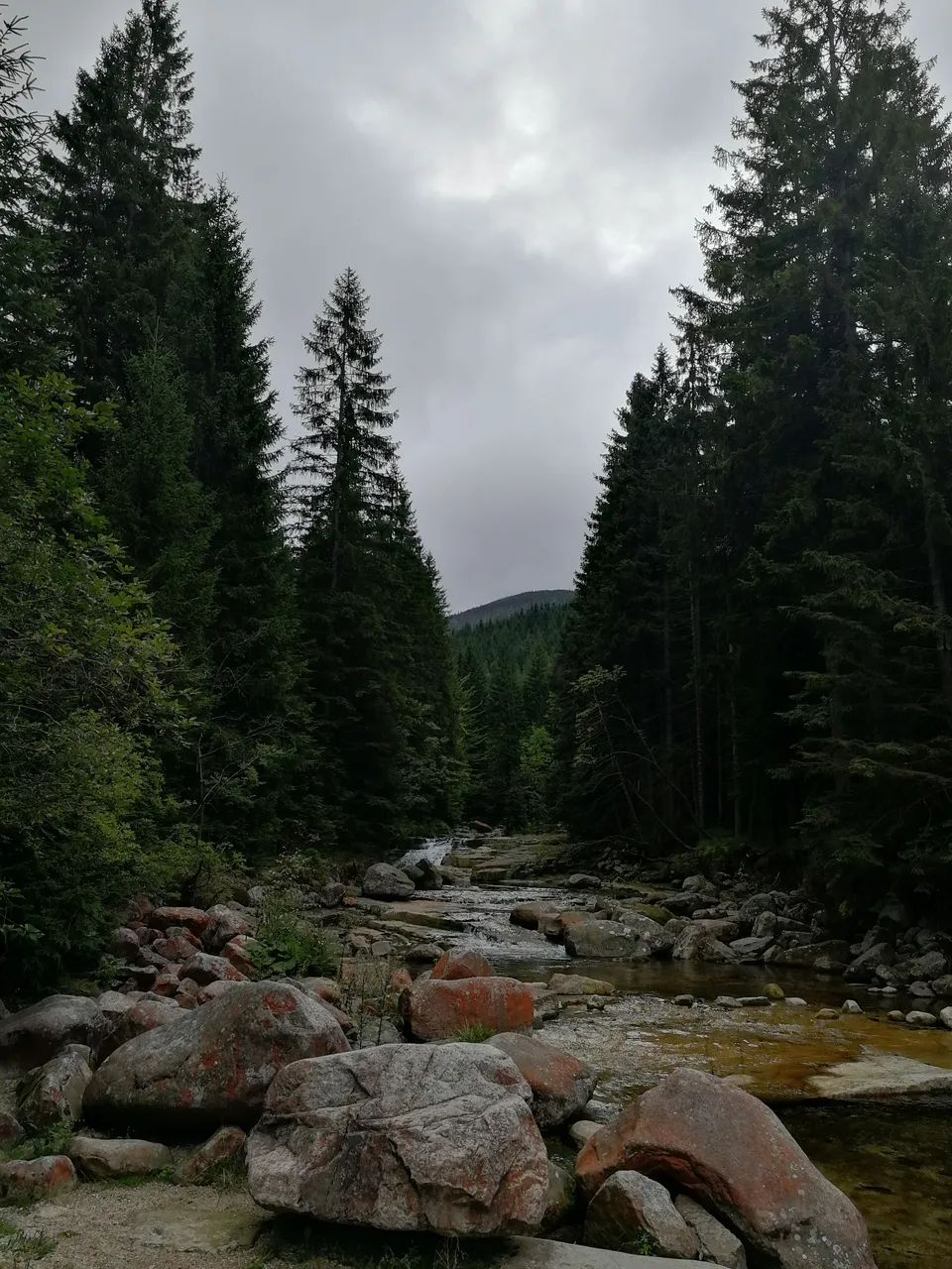 IMG_20190919_100237.jpg