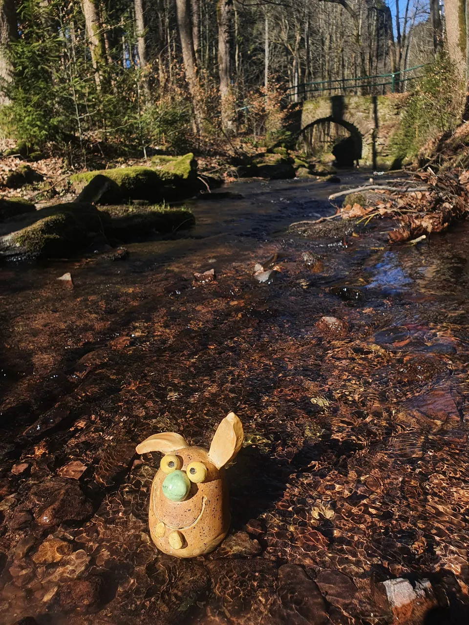 20220313_135327.jpg